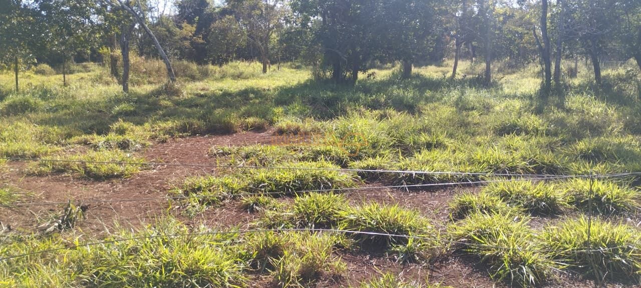 Fazenda, 5 hectares - Foto 10