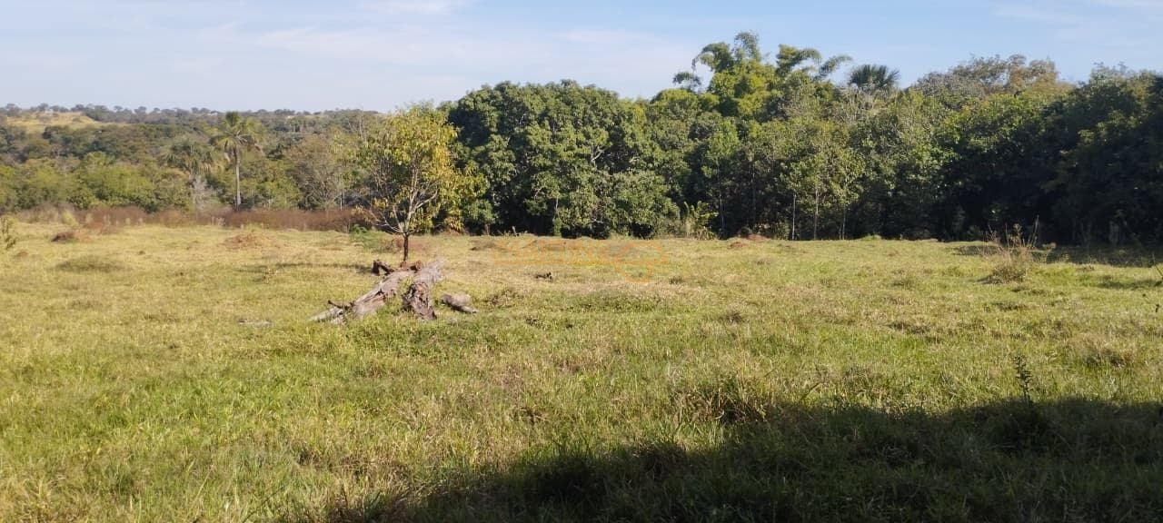 Fazenda, 5 hectares - Foto 12
