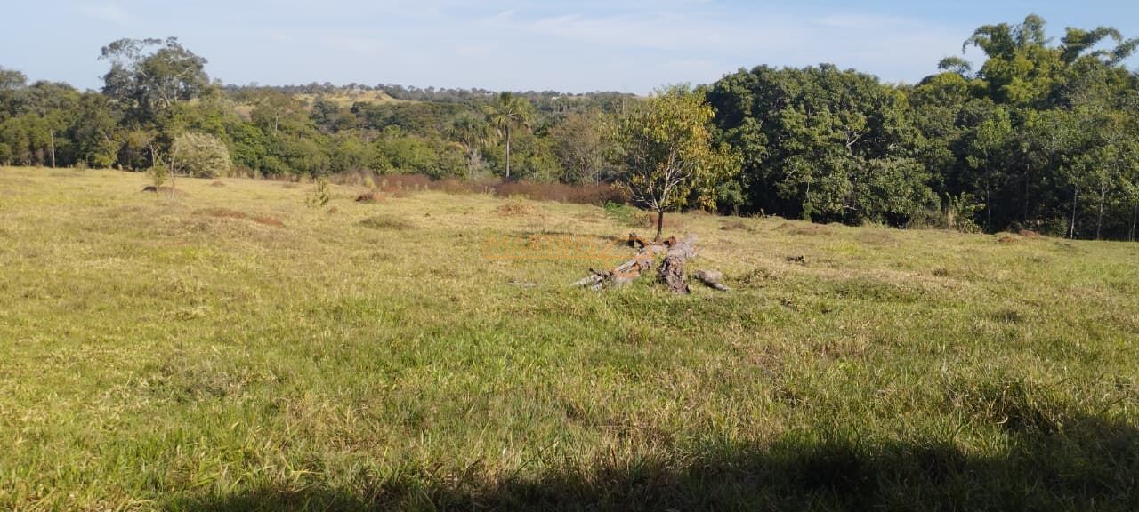 Fazenda, 5 hectares - Foto 7