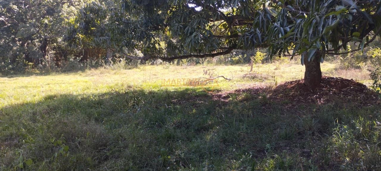 Fazenda, 5 hectares - Foto 13