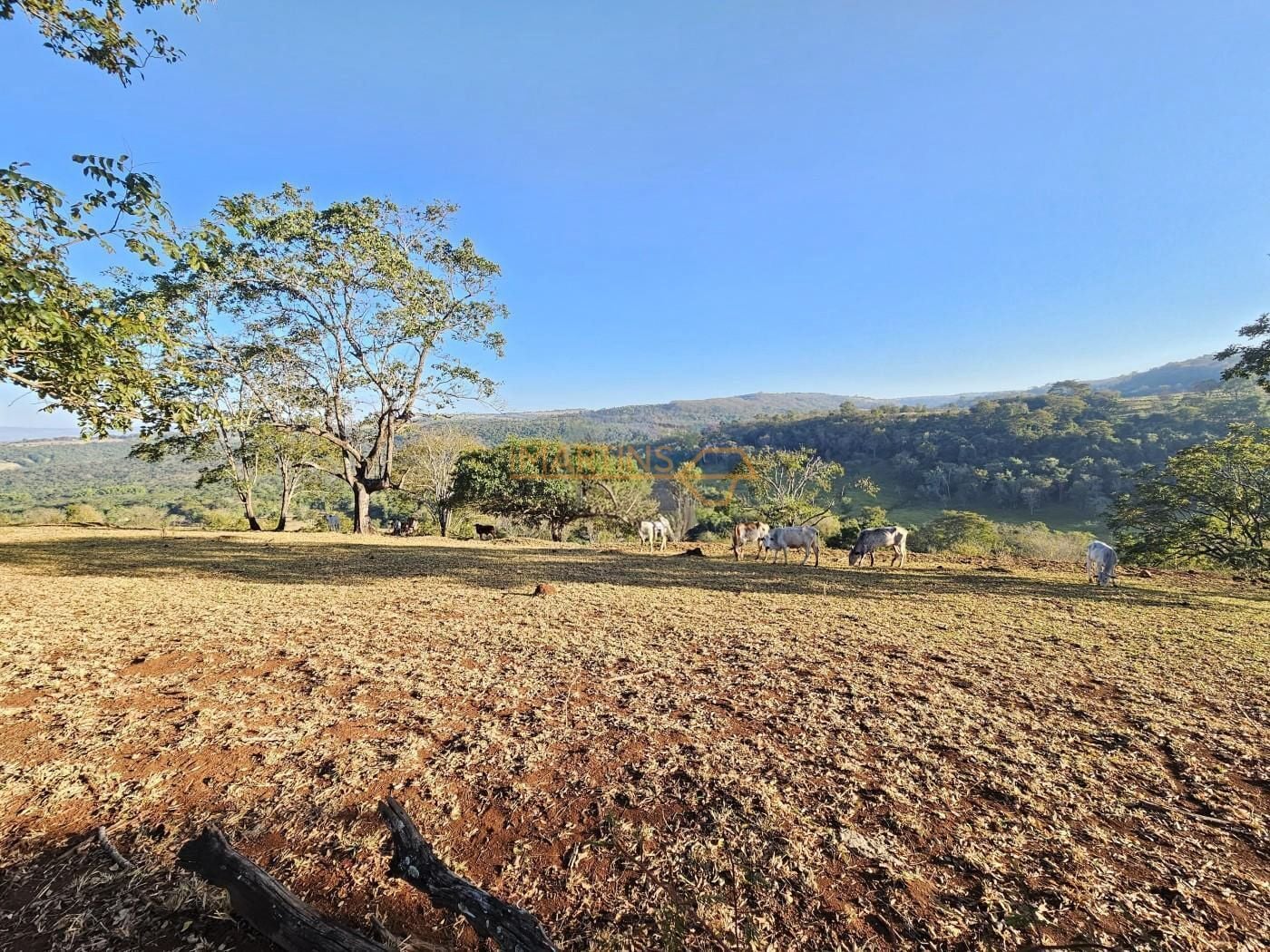Fazenda, 5555 m² - Foto 3