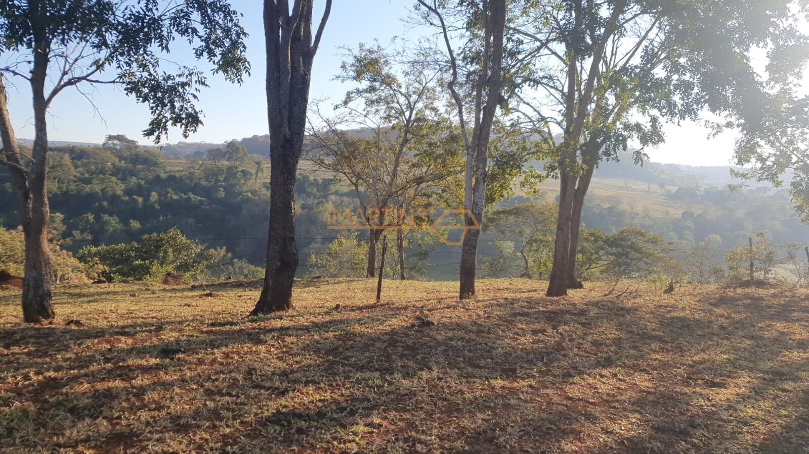 Fazenda, 5555 m² - Foto 4