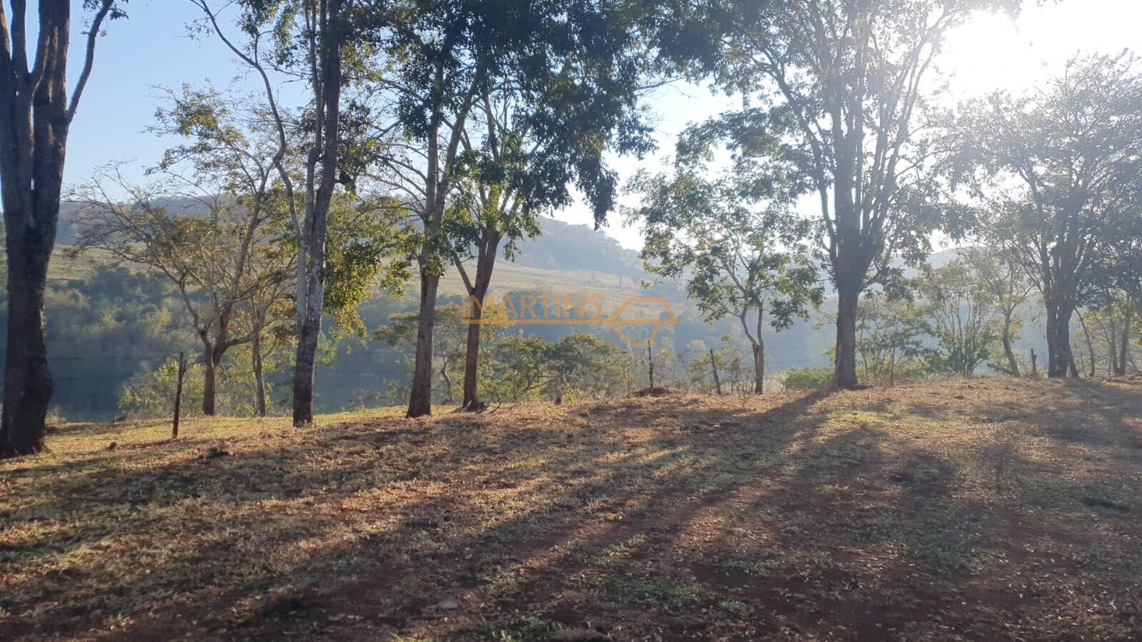 Fazenda, 5555 m² - Foto 5