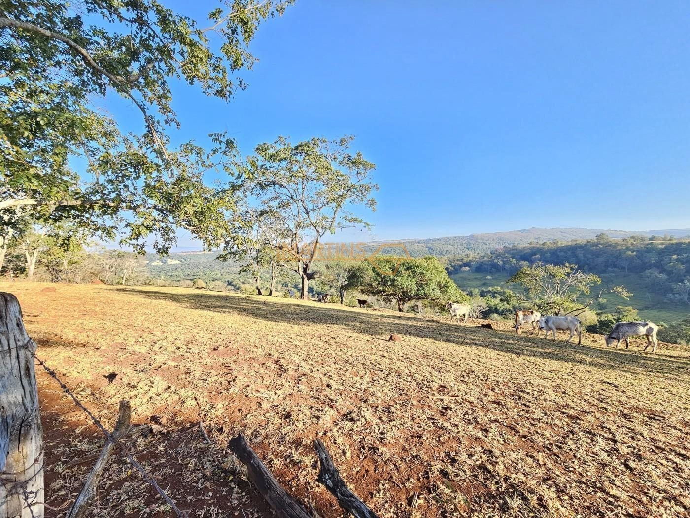 Fazenda, 5555 m² - Foto 1