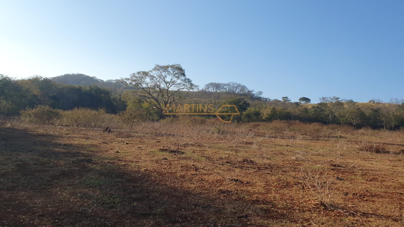 Fazenda, 5555 m² - Foto 2