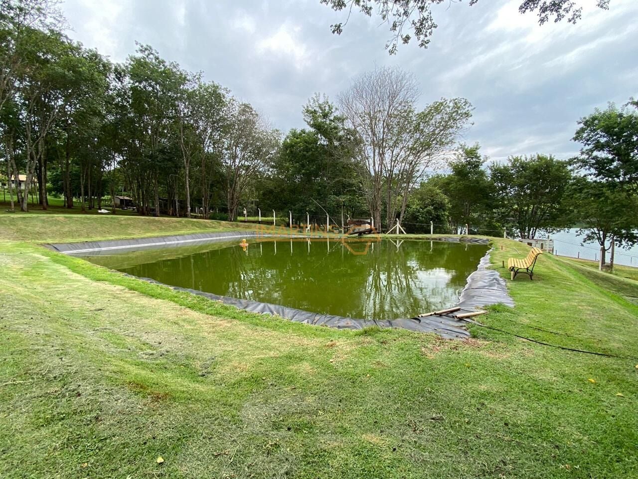 Casa, 20000 m² - Foto 11