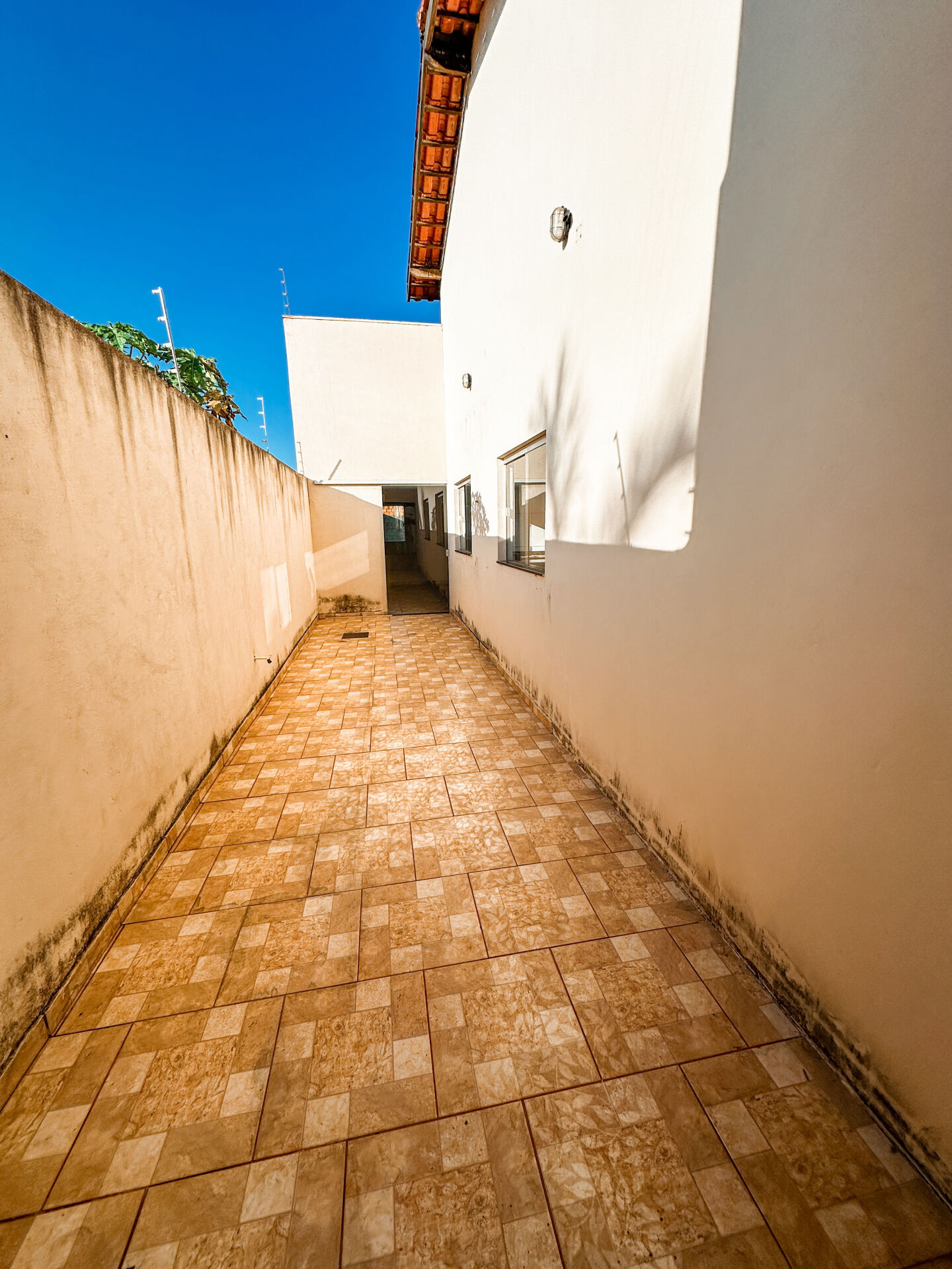 Casa, 3 quartos, 528 m² - Foto 4