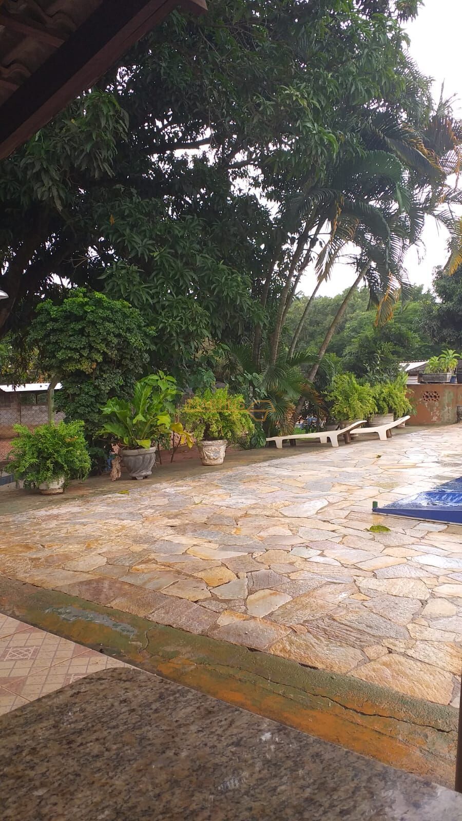 Sítio, 6 quartos - Foto 8