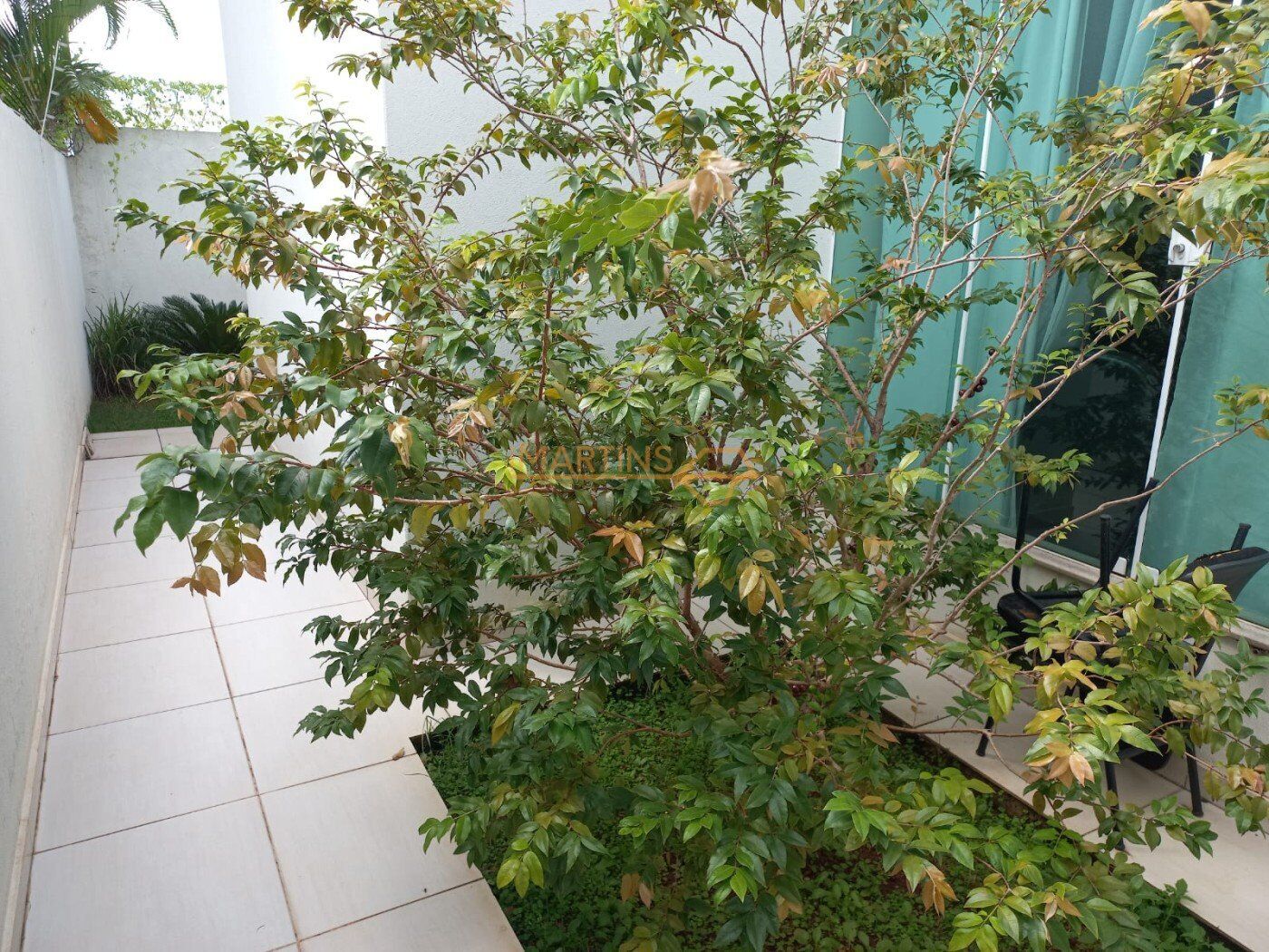 Casa, 4 quartos, 5555 m² - Foto 31