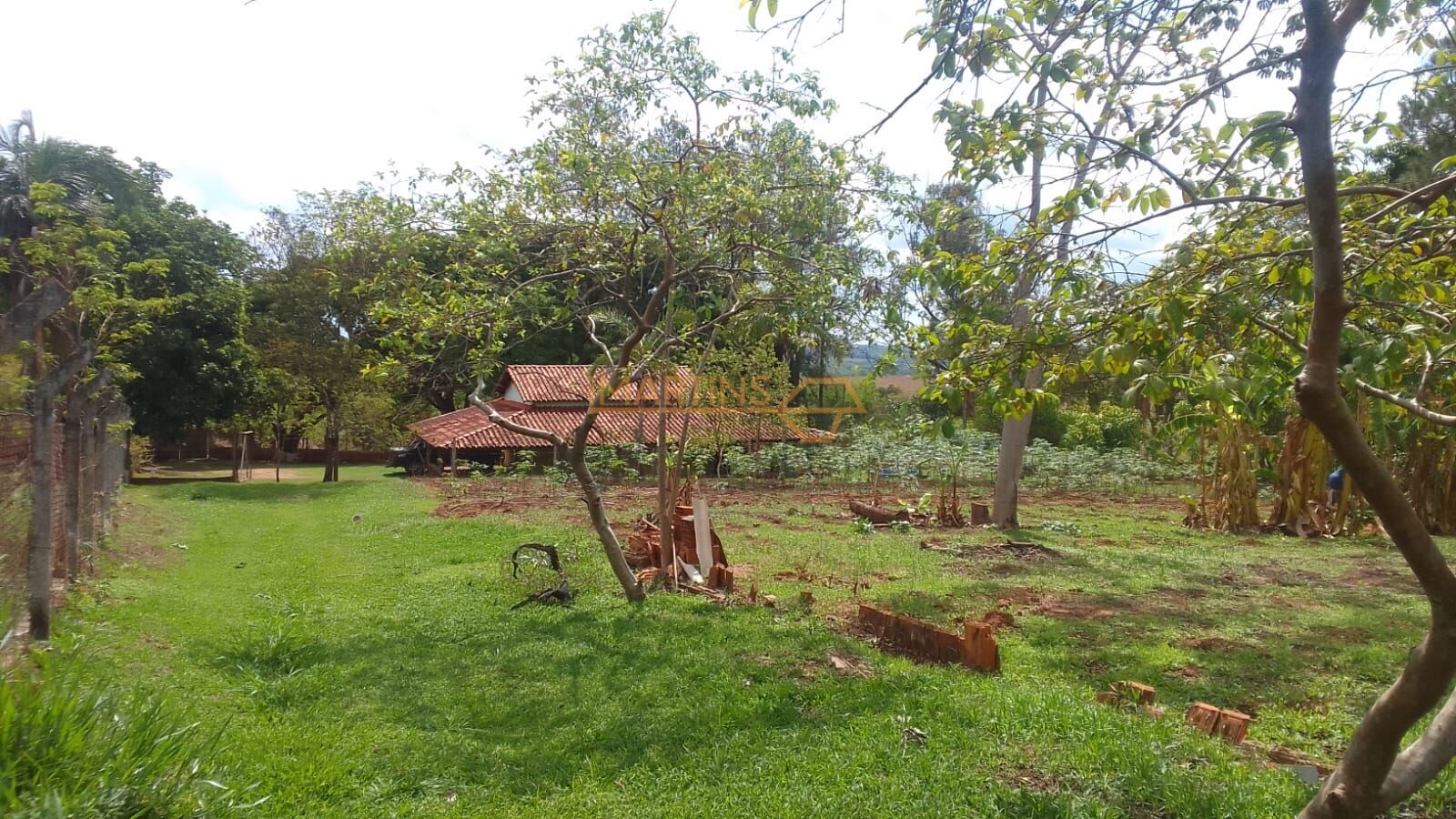 Terreno, 5000 m² - Foto 6