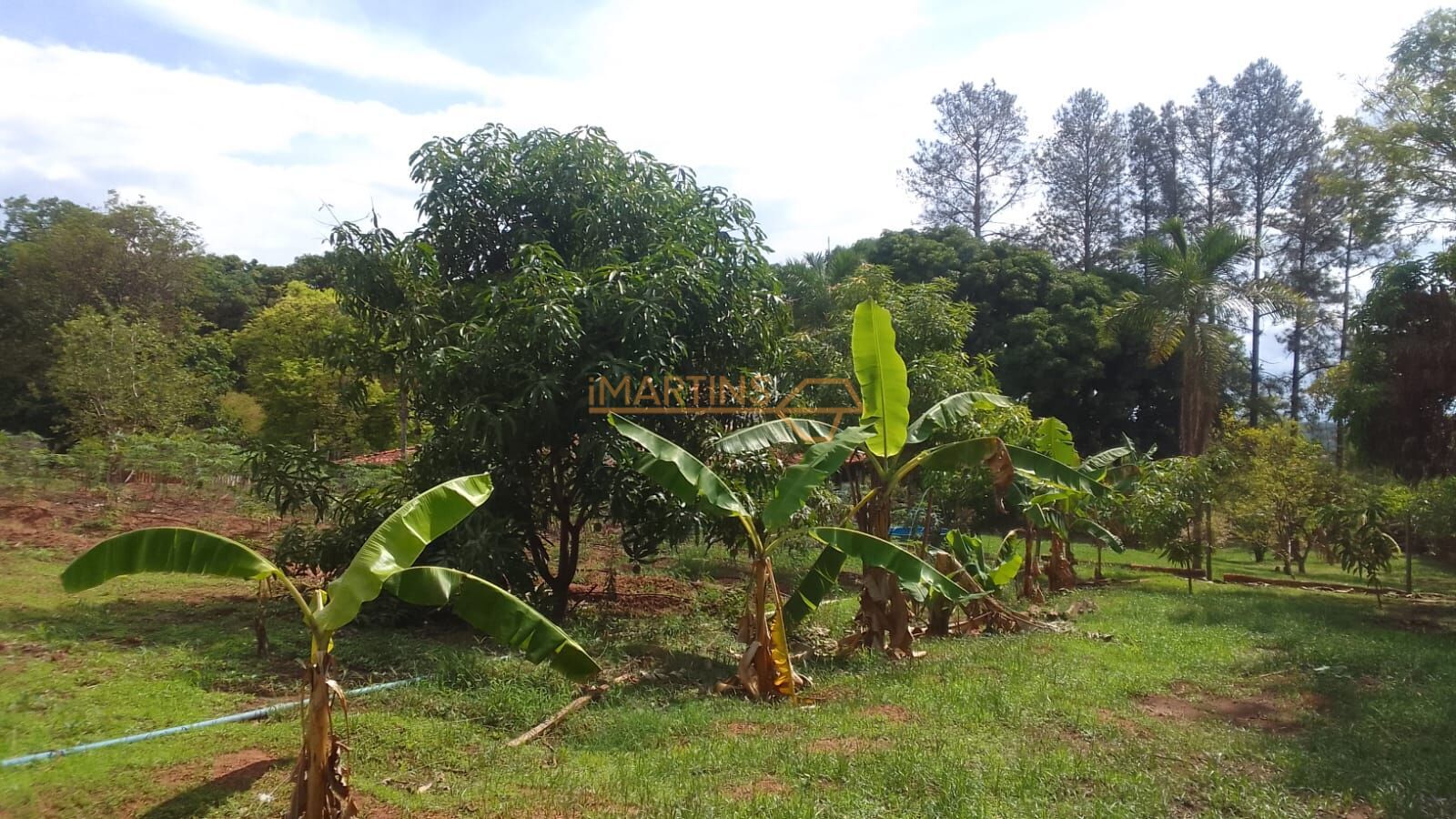 Terreno, 5000 m² - Foto 5