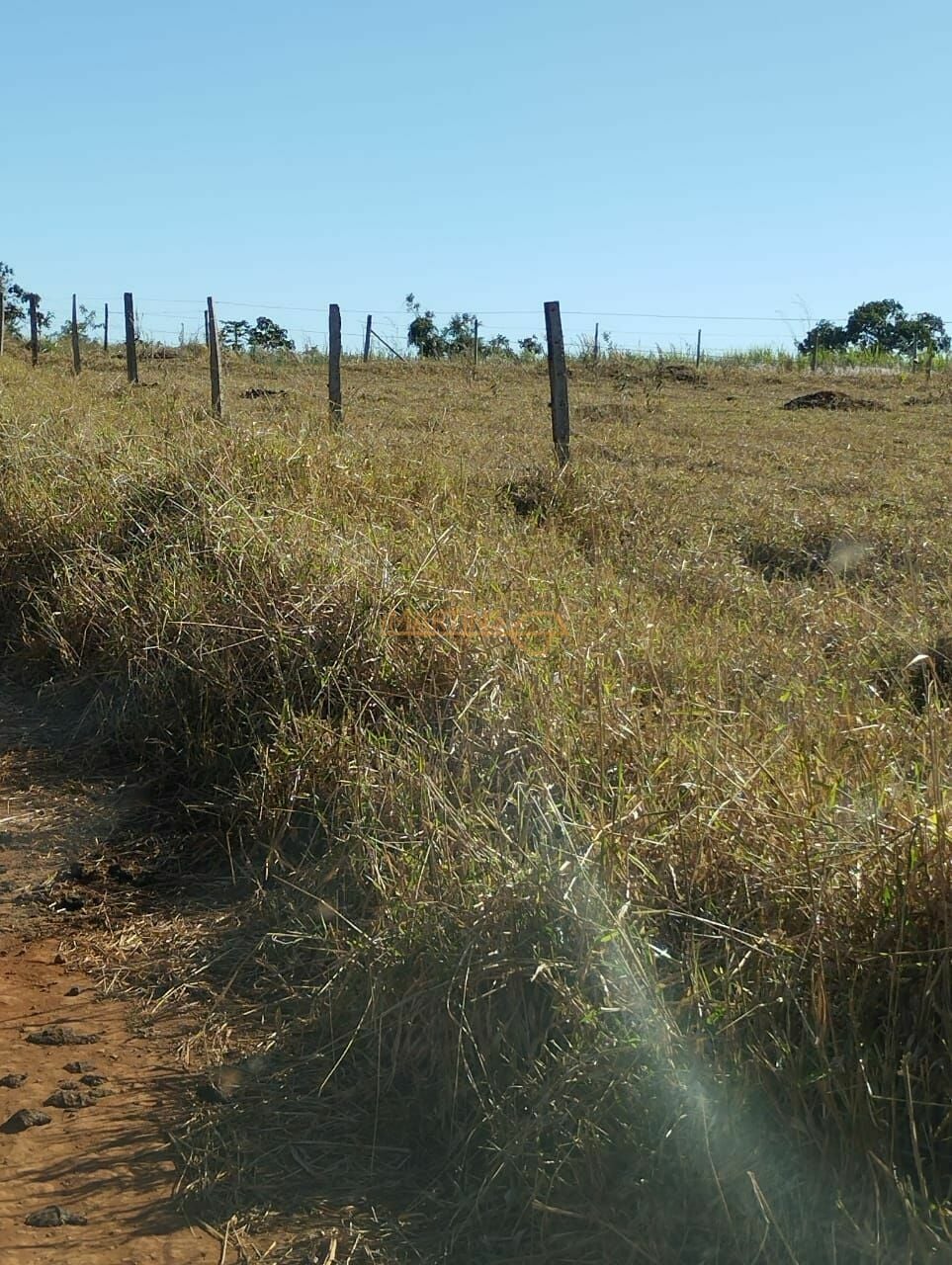 Fazenda, 1 hectares - Foto 1