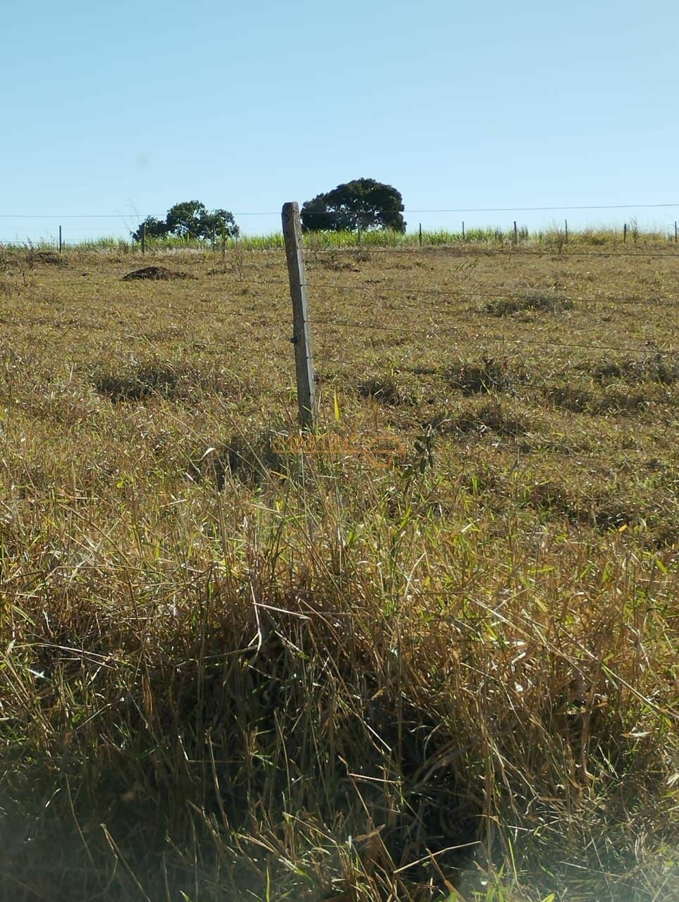 Fazenda, 1 hectares - Foto 4