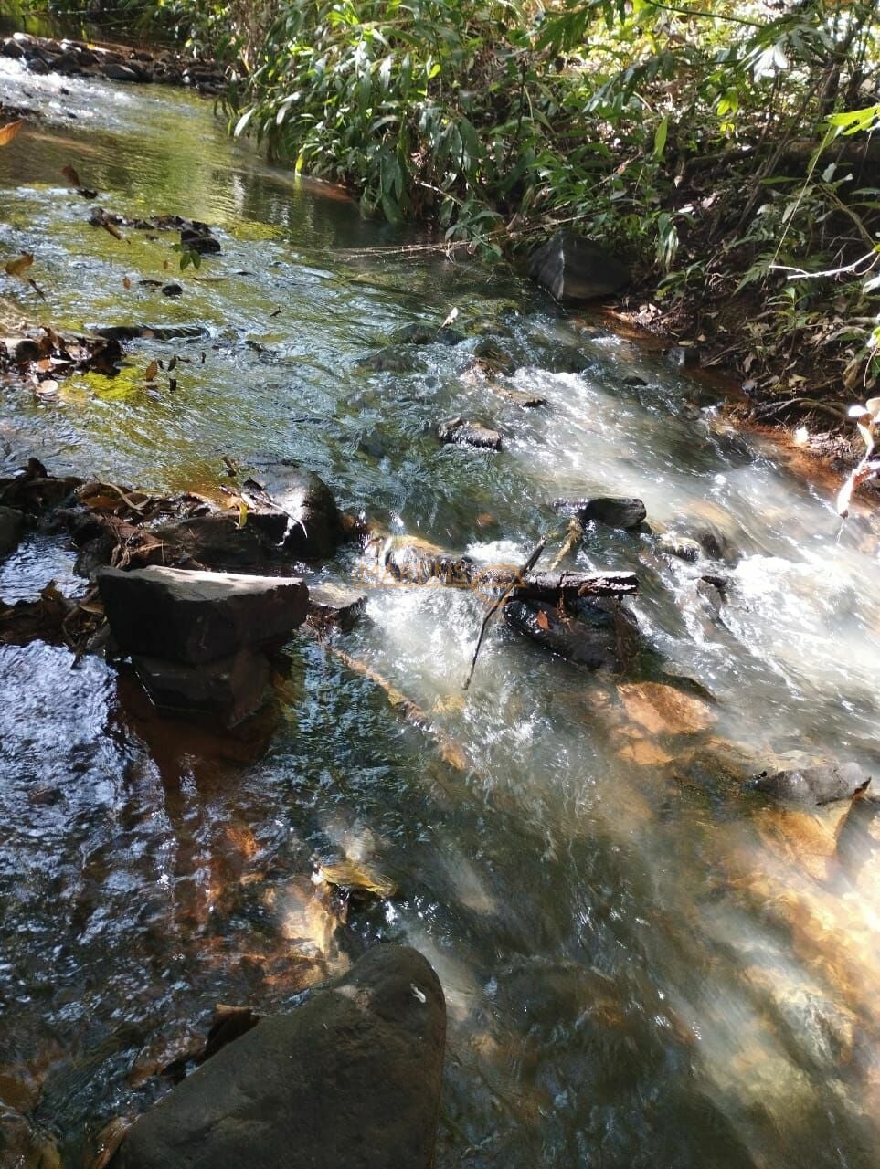 Fazenda, 1 hectares - Foto 11