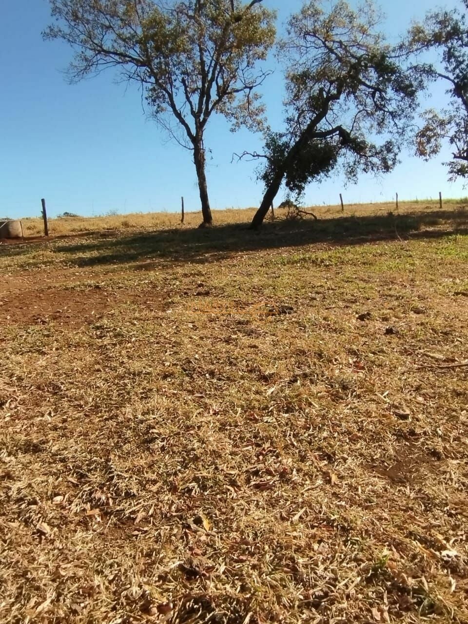 Fazenda, 1 hectares - Foto 7