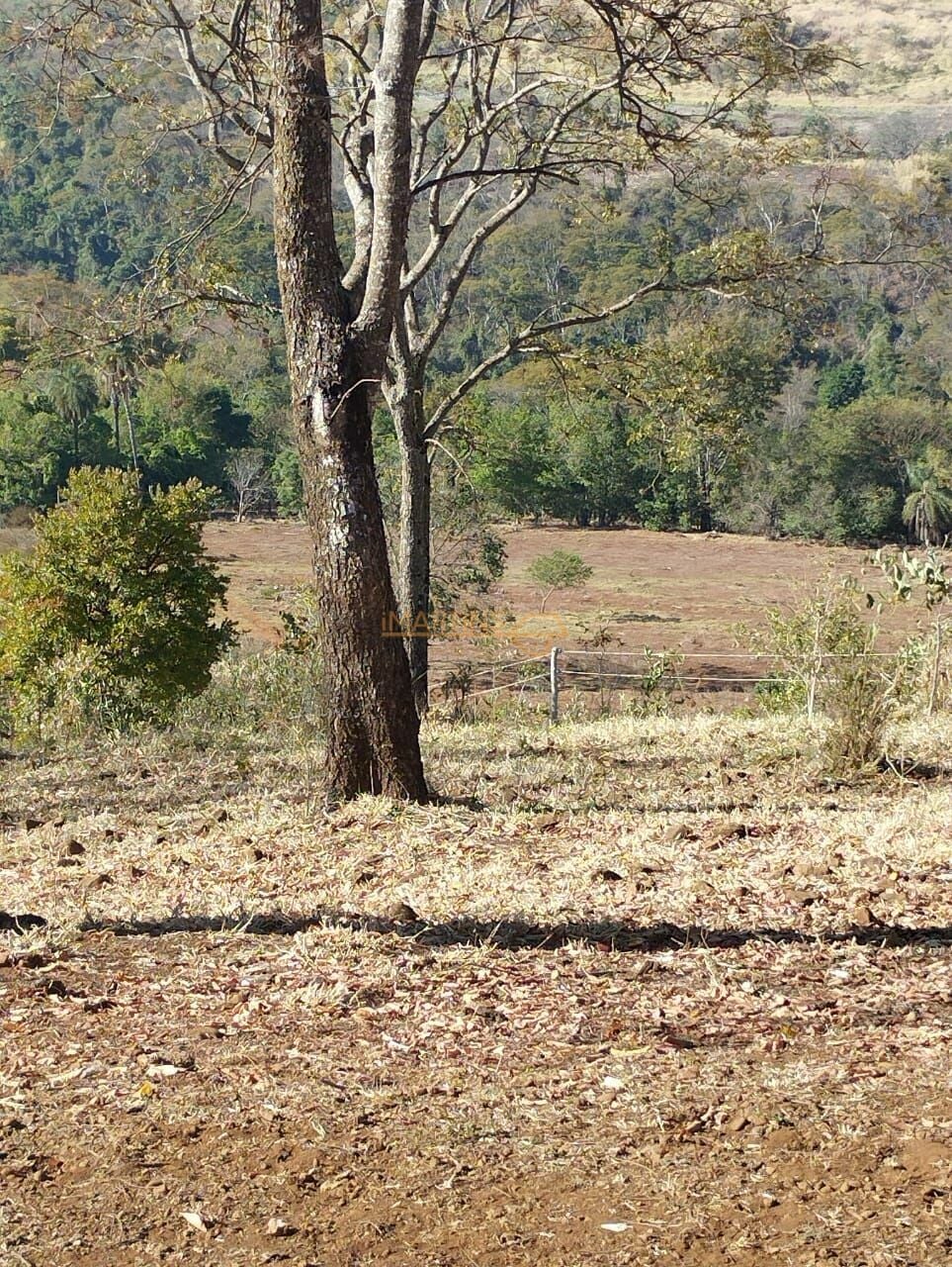 Fazenda, 1 hectares - Foto 12