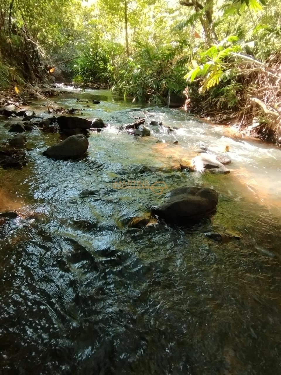 Fazenda, 1 hectares - Foto 10