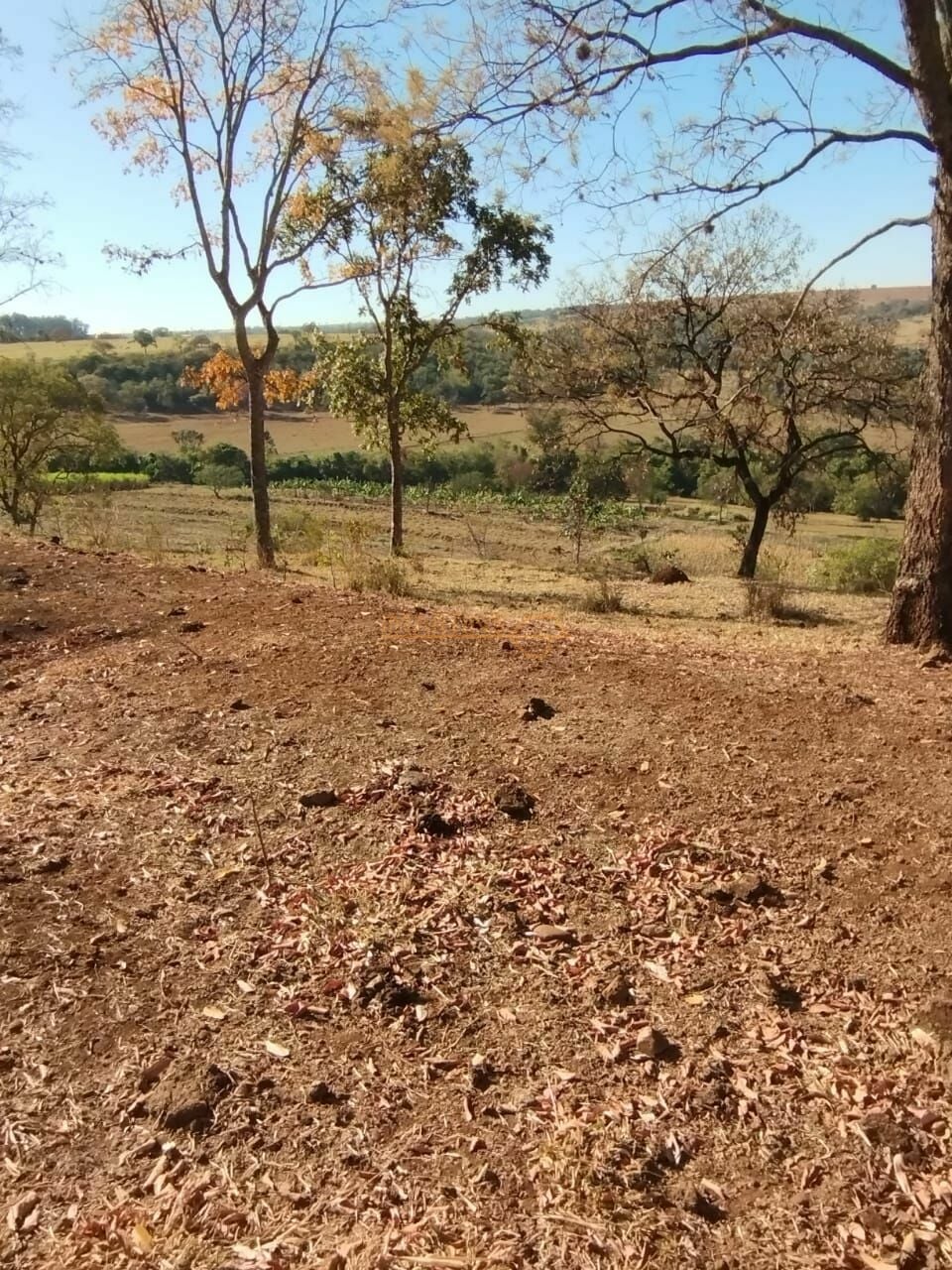 Fazenda, 1 hectares - Foto 8