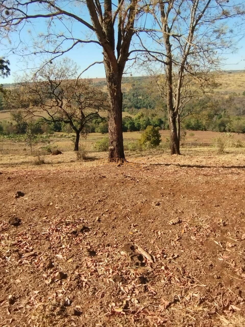 Fazenda, 1 hectares - Foto 5