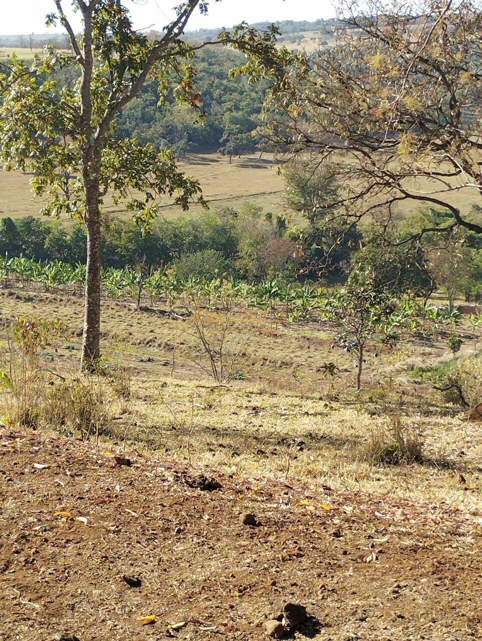 Fazenda, 1 hectares - Foto 9