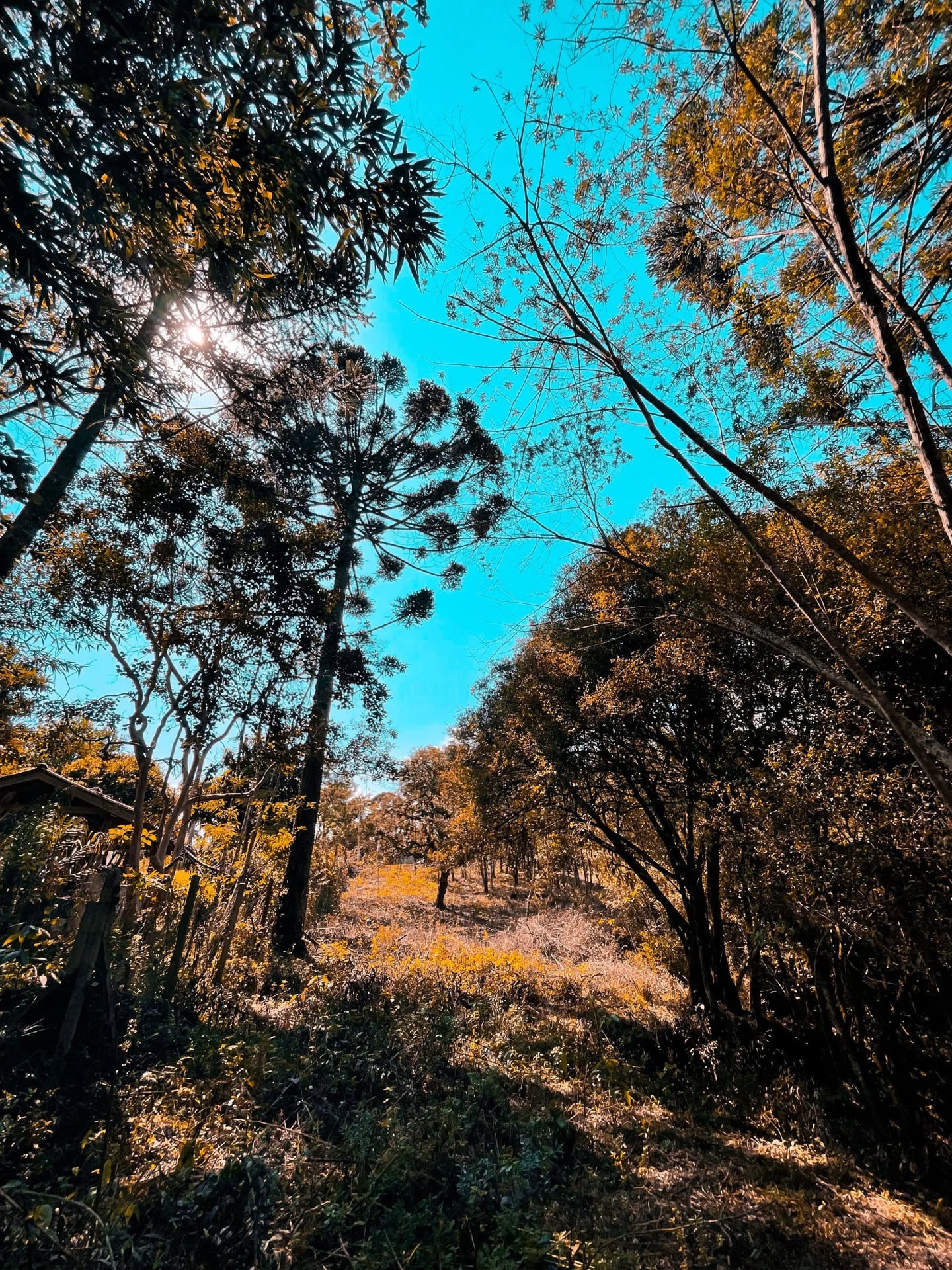 Terreno à venda em Seminário, Rio Negro - PR