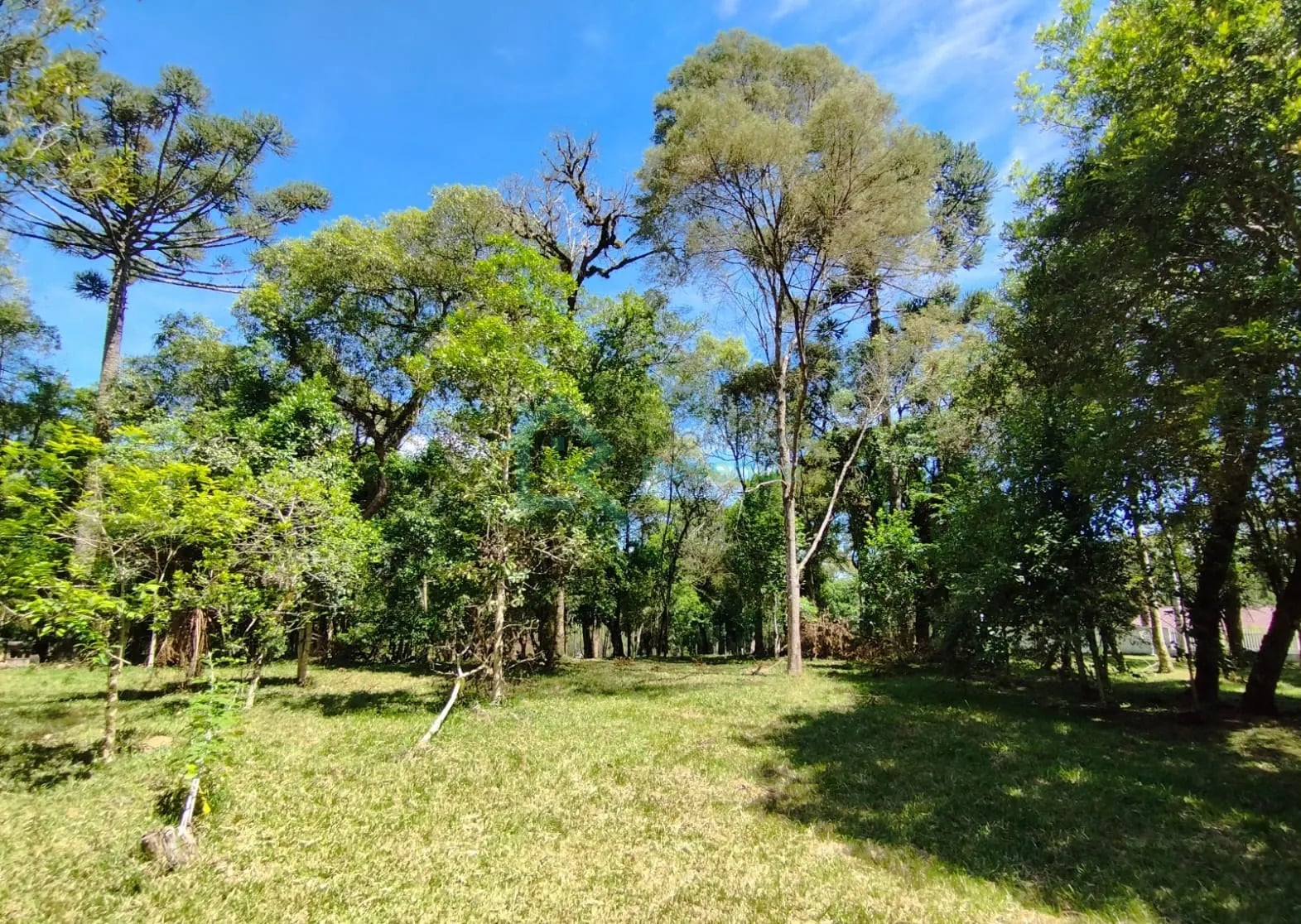 Terreno à venda em Seminário, Rio Negro - PR
