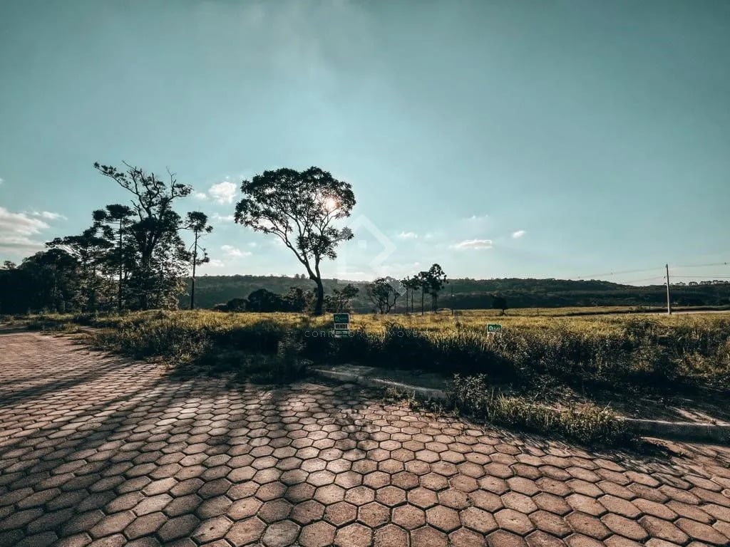 Terreno à venda em Passa Três, Rio Negro - PR