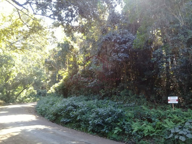 Foto 03