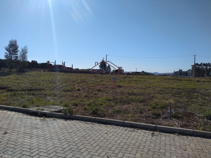 Foto 01