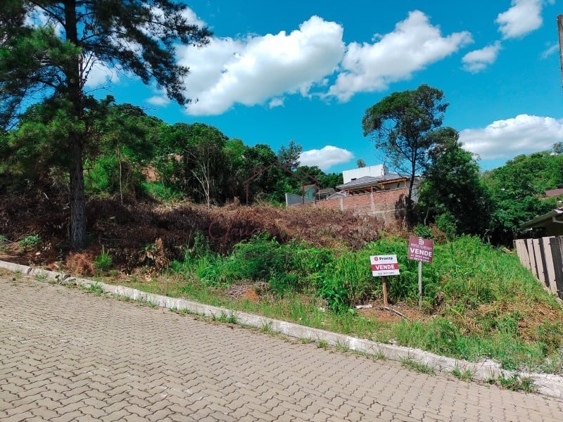 Foto 01