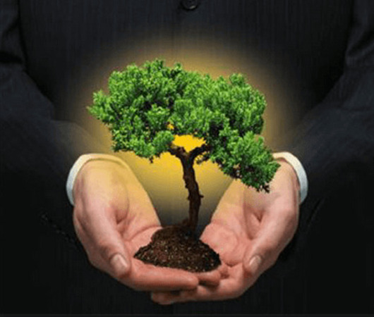 QUESTÃO AMBIENTAL