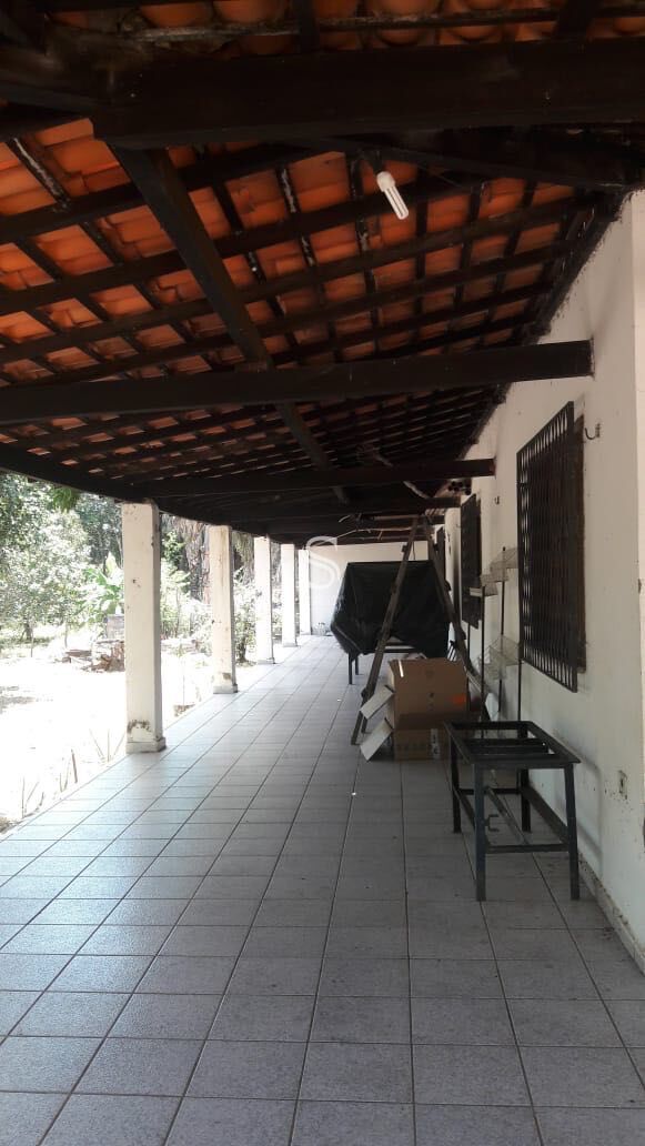 Chácara, 3 quartos, 6000 m² - Foto 5
