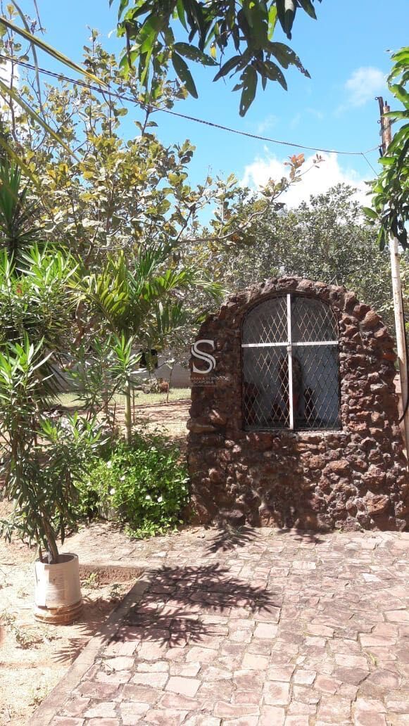 Chácara, 3 quartos, 6000 m² - Foto 6