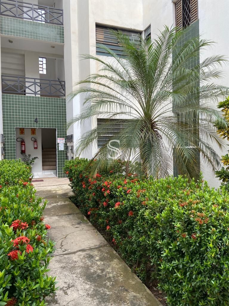 Apartamento, 3 quartos, 49 m² - Foto 7