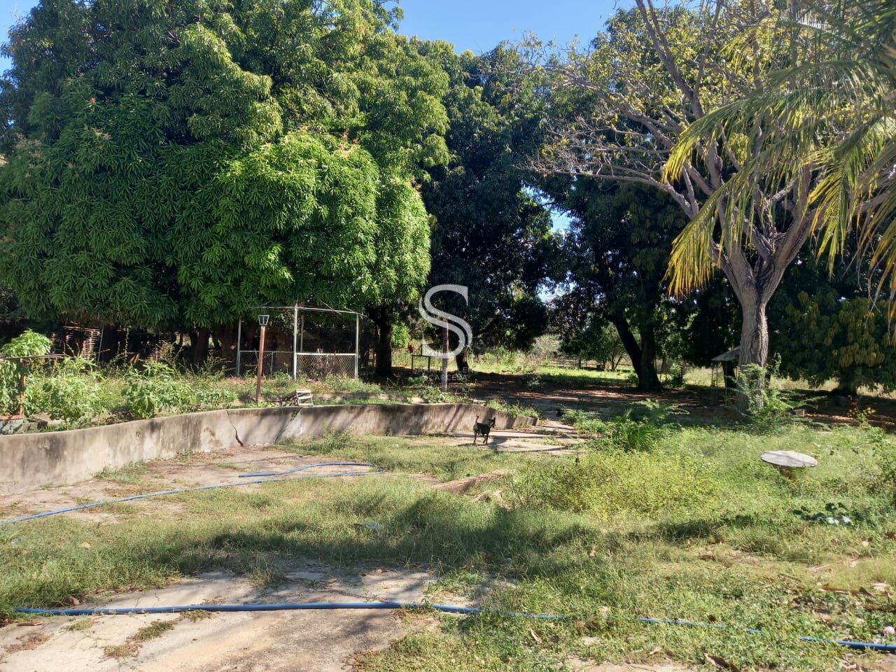 Terreno, 2 hectares - Foto 14