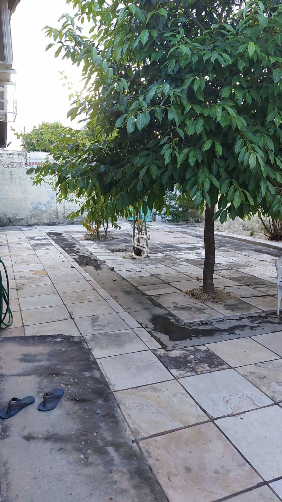 Casa, 3 quartos, 256 m² - Foto 5