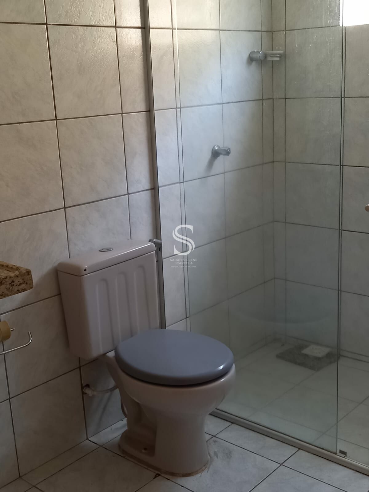 Casa, 4 quartos, 250 m² - Foto 33