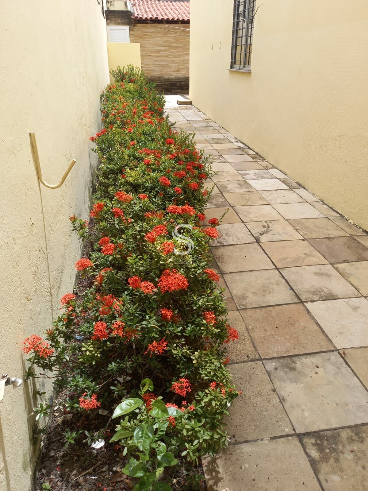 Casa, 4 quartos, 250 m² - Foto 45