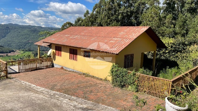 Foto 01