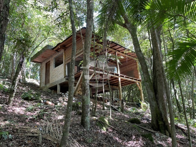 Foto 01