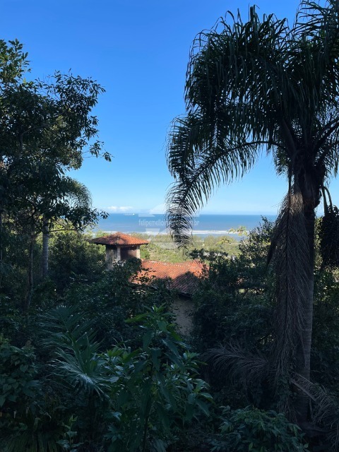 Foto 01