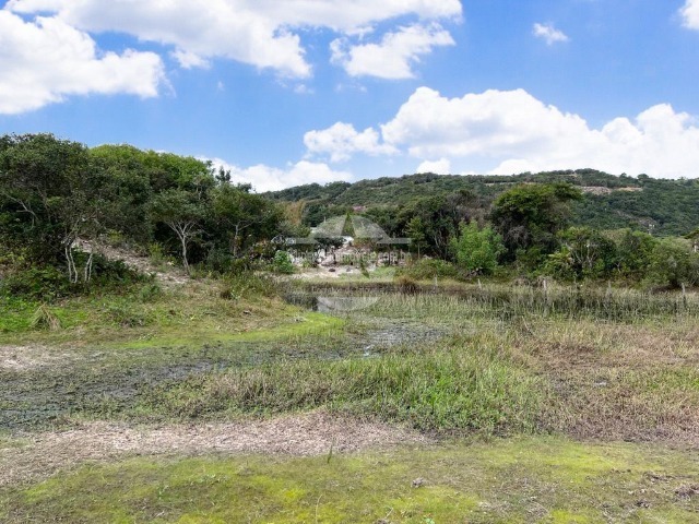 Foto 01