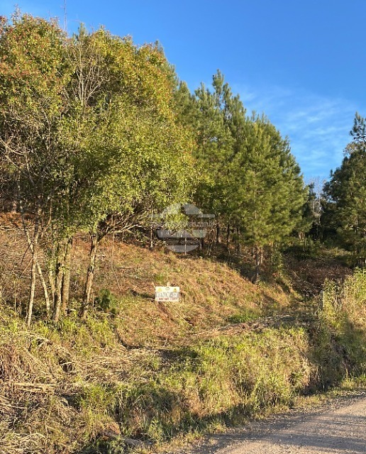 Foto 01