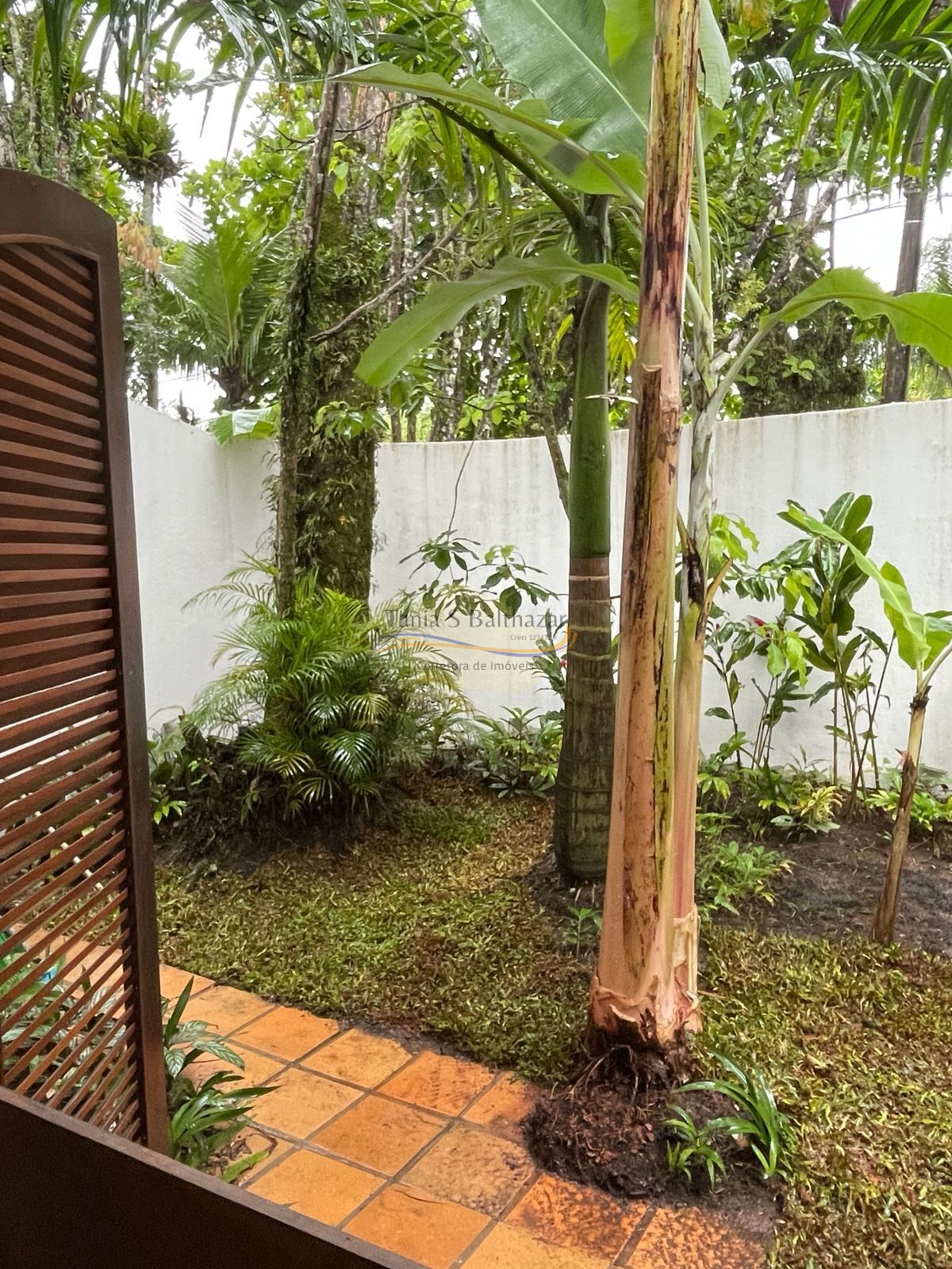 Casa, 5 quartos, 250 m² - Foto 38