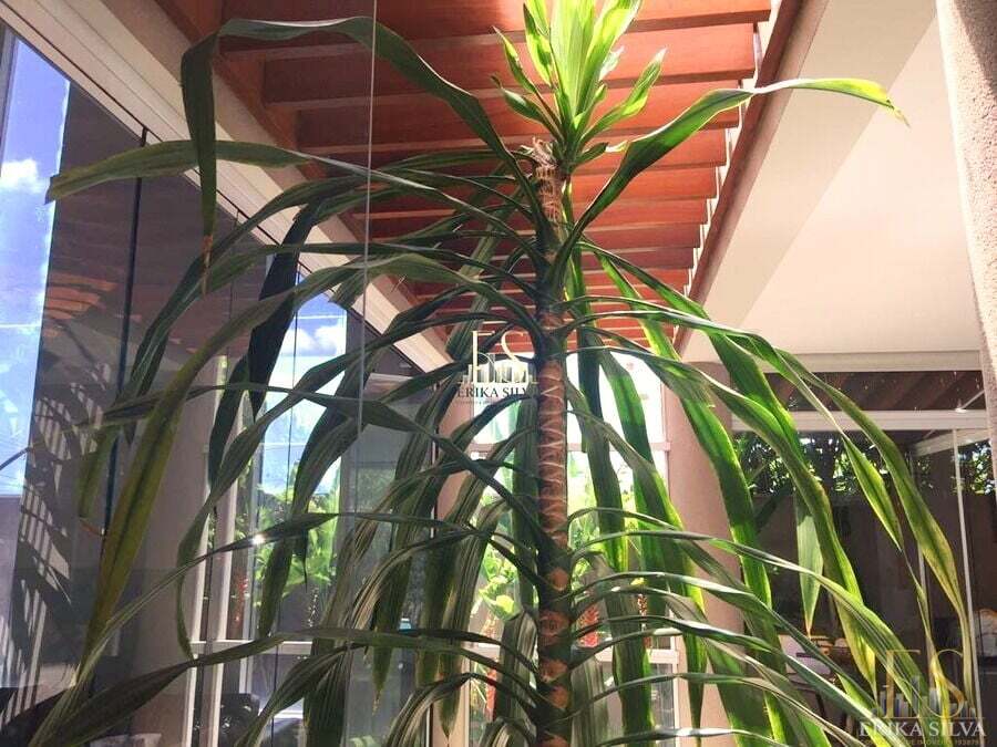 Sobrado, 4 quartos, 373 m² - Foto 24