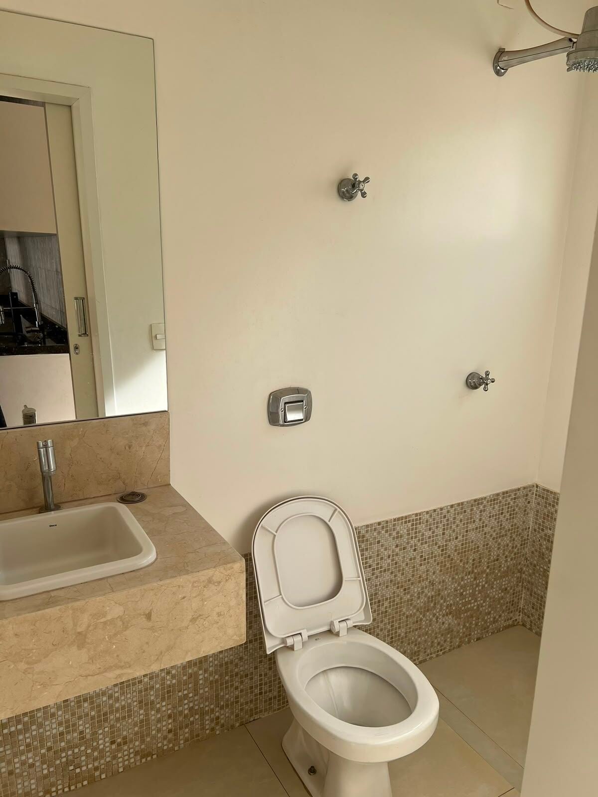 Casa, 4 quartos, 302 m² - Foto 20