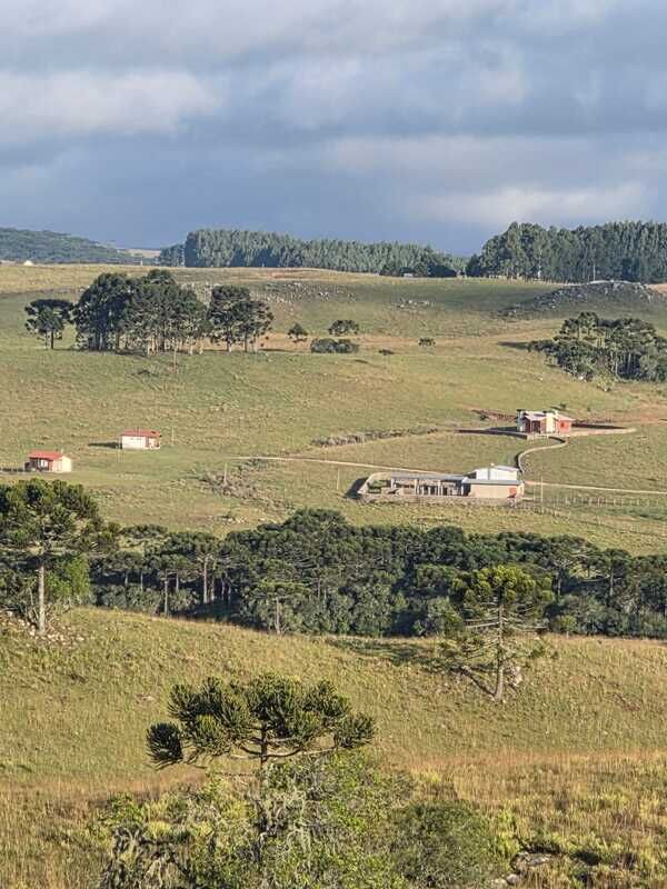 Fazenda, 211 hectares - Foto 10