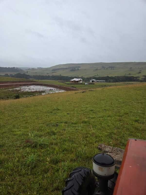 Fazenda, 211 hectares - Foto 12