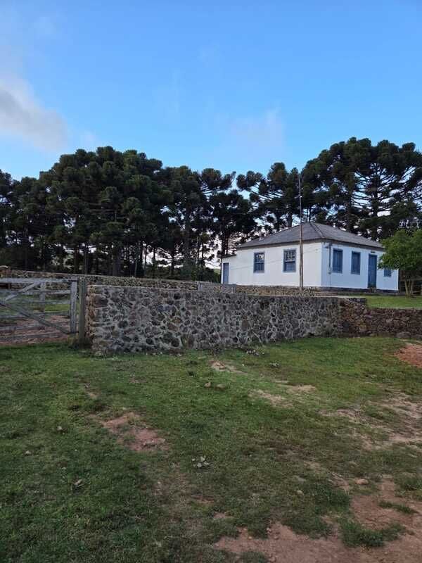 Fazenda, 211 hectares - Foto 14