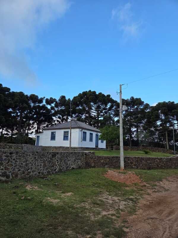 Fazenda, 211 hectares - Foto 13